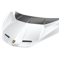 Lamborghini Revuelto Race Hood