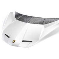 Lamborghini Revuelto Race Hood