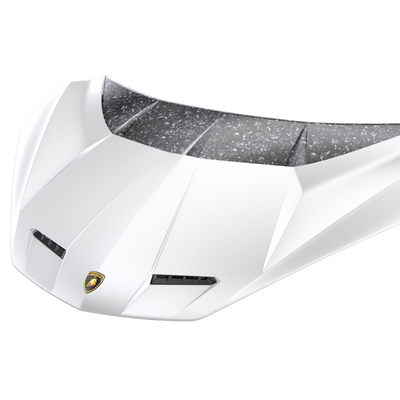 Lamborghini Revuelto Race Hood