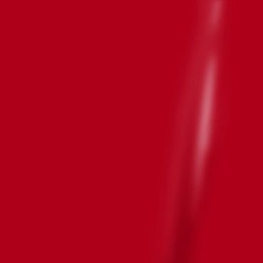 2017-2023 Nissan GTR Grille Accent Overlay