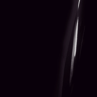 SHOWN WITH TURN SIGNAL CUTOUT