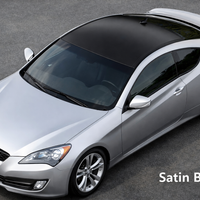 2009-2012 Genesis Coupe Roof Wrap