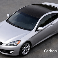 2009-2012 Genesis Coupe Roof Wrap