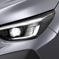 Shadow Black Amber Delete