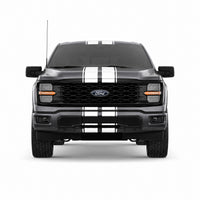 Ford F-150 Universal Dual Racing Stripe Kit – Hood, Roof, Tailgate & Bumper