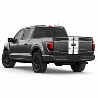 Ford F-150 Universal Dual Racing Stripe Kit – Hood, Roof, Tailgate & Bumper
