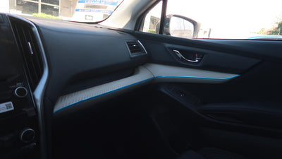 Door Pinstripe Kit (Multiple Colors Available) | 2019-2020 Subaru Ascent