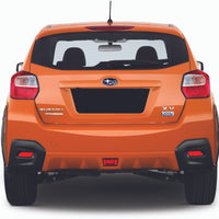 License Plate Vinyl Insert