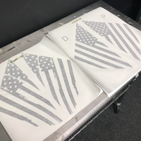 Distressed Flag Quarter Window DECAL (2013-2018 Focus ST/RS)