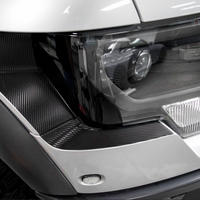 The Disruptor - Front Bumper Accent Inlay | 2010-2014 Ford Raptor