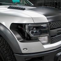 The Disruptor - Front Bumper Accent Inlay | 2010-2014 Ford Raptor