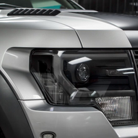 Amber Delete v1 | Ford Raptor