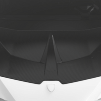 Lamborghini Huracan LP610-Race Hood