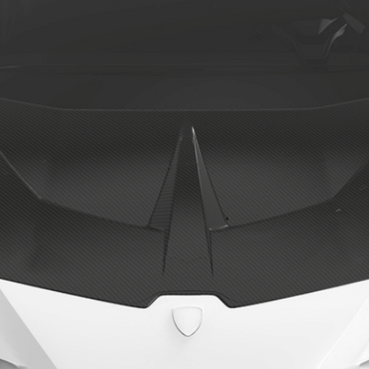 Lamborghini Huracan Performante-Race Hood