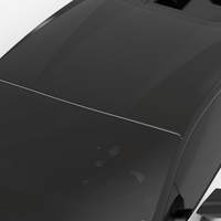 Lamborghini Huracan Performante-Roof