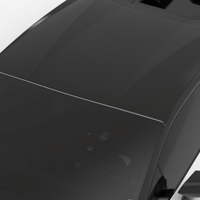 Lamborghini Huracan Performante-Roof