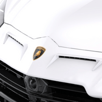 Lamborghini Urus Performante-Nose Trims (includes mesh insert)