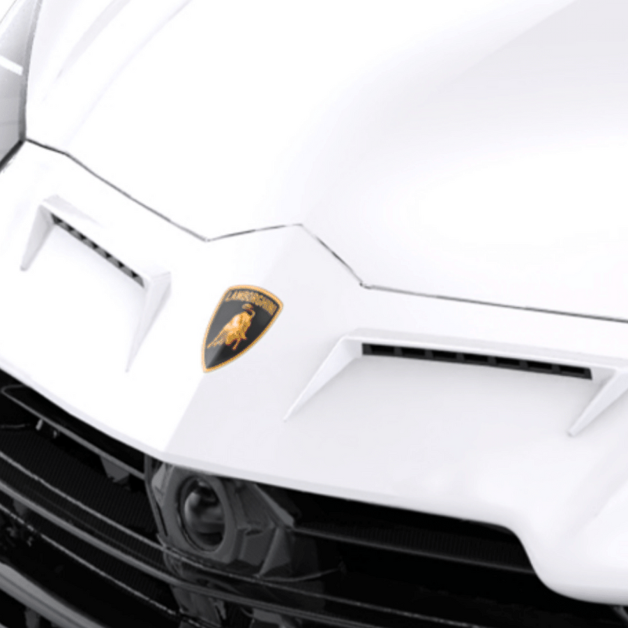 Lamborghini Urus Performante-Nose Trims (includes mesh insert)