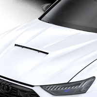 Audi RS6-Hood Cap