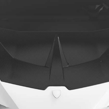 Lamborghini Huracan EVO-Race Hood - Forged Carbon / All Huracan except STO