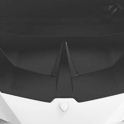 Lamborghini Huracan EVO-Race Hood - Forged Carbon / All Huracan except STO