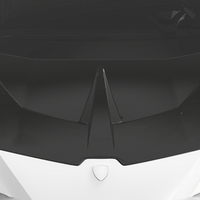 Lamborghini Huracan LP580-Race Hood