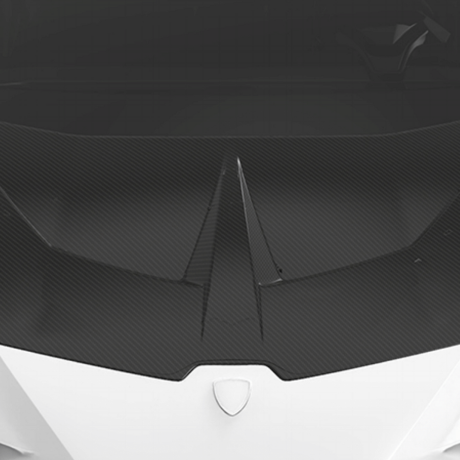 Lamborghini Huracan LP580-Race Hood