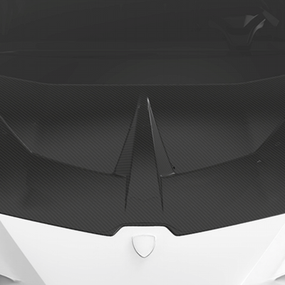 Lamborghini Huracan LP580-Race Hood