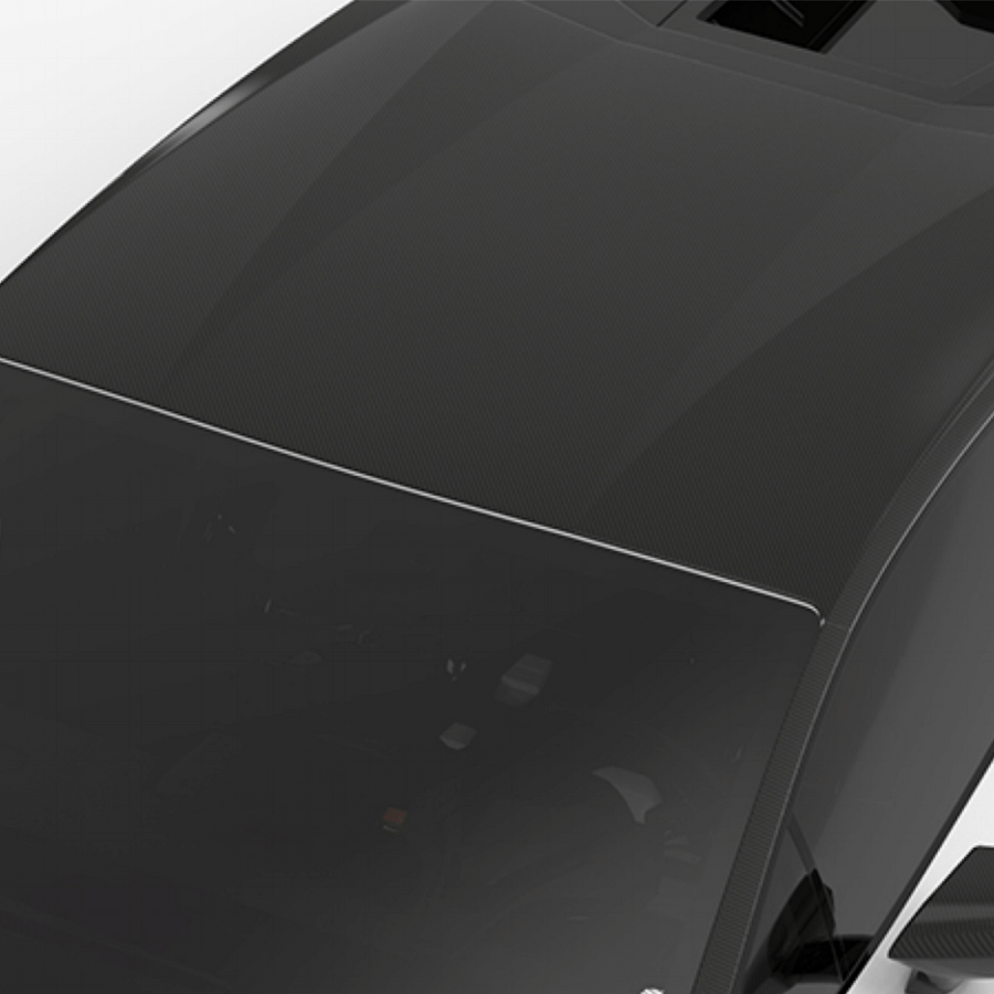 Lamborghini Huracan LP580-Roof