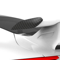 Porsche 991.2 GT3-Wing Tips - Twill Carbon / 991.2 fitment only
