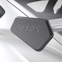 Porsche GT4RS Wing Tips - Standard Carbon