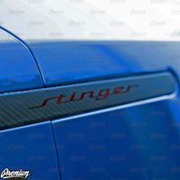 Tail Light Side Reflector w/ Stinger Cutout - Carbon Fiber | 2018-2023 Stinger