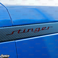 Tail Light Side Reflector w/ Stinger Cutout - Carbon Fiber | 2018-2023 Stinger